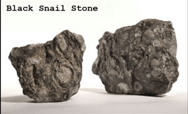 nat_black_snail_stone.jpg