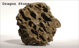 nat_dragon_stone.jpg