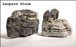 nat_leopard_stone.jpg