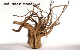 nat_red_moor_wood.jpg