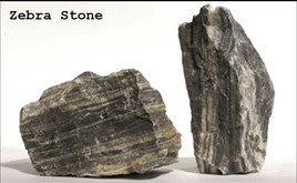 nat_zebra_stone.jpg