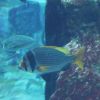 IMG 0750 IMG 0750