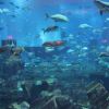 IMG 0732 IMG 0732