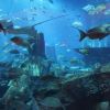 IMG 0733 IMG 0733