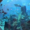 IMG 0735 IMG 0735