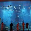 IMG 0740 IMG 0740