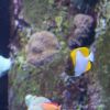 IMG 0721 IMG 0721