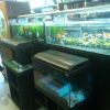 AQUAINLINE18