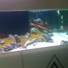 ReefQuest ReefQuest