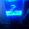 ReefQuest ReefQuest