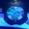 ReefQuest ReefQuest