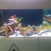 ReefQuest ReefQuest