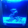 ReefQuest ReefQuest