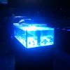 ReefQuest ReefQuest