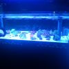 ReefQuest ReefQuest