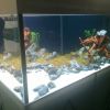ReefQuest ReefQuest