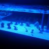ReefQuest ReefQuest