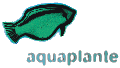 AQUAPLANTE