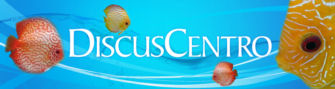 DISCUSCENTRO