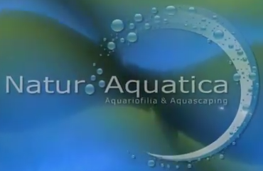 naturaquatica_logo.png