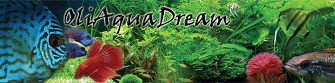 oliaquadream_logo.jpg