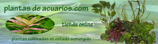 plantasdeacuarios_logo.jpg