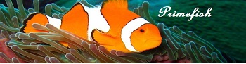 PRIMEFISH