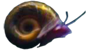 Planorbarius
