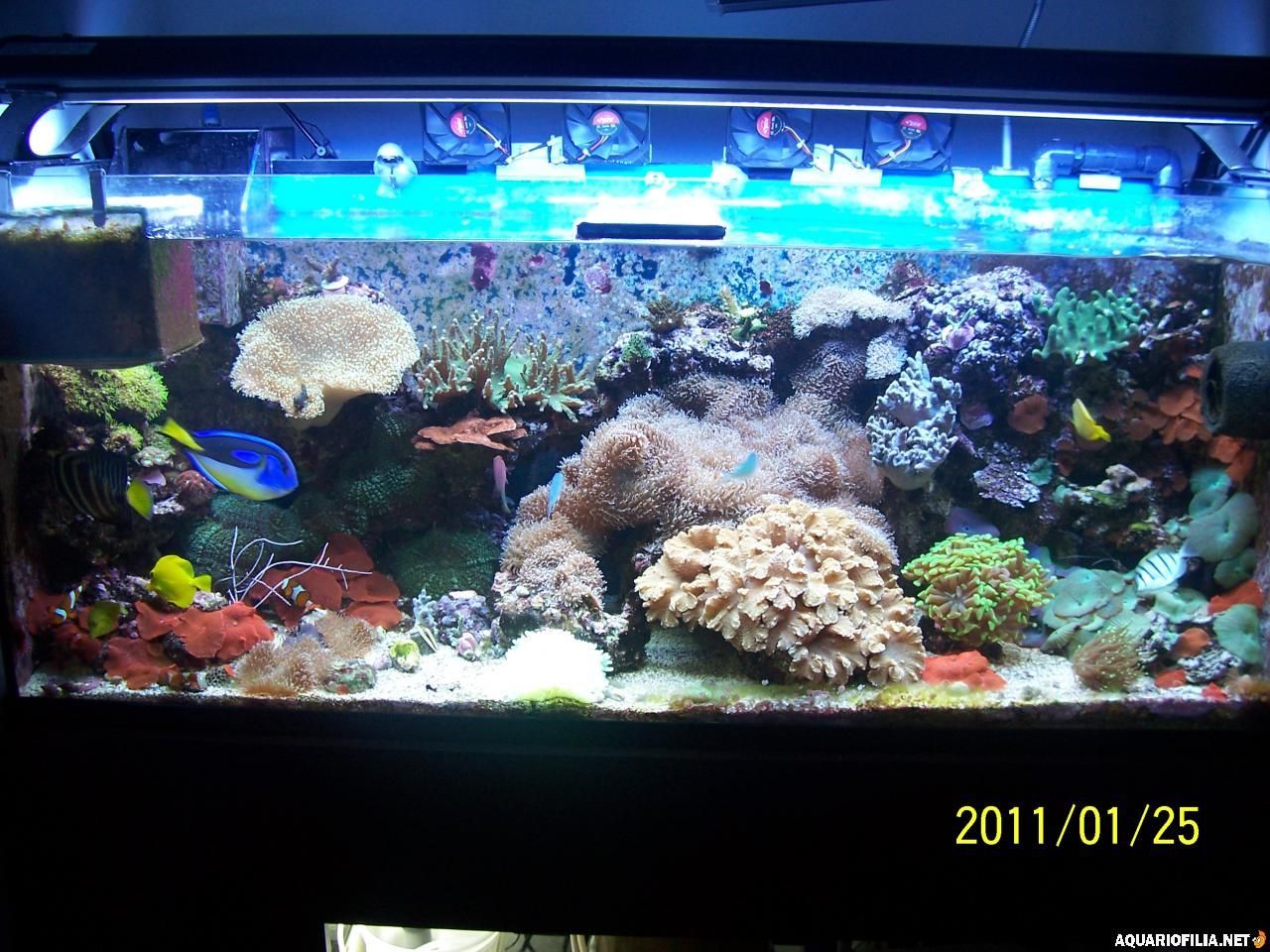 gallery_22101_2687_640575.jpg
