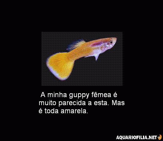 gallery_25122_2466_3773.gif