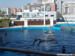 oceanografic_valencia_spain_aquariofilia_net_jb (7).jpg