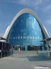 oceanografic_valencia_spain_aquariofilia_net_jb (0).jpg