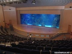 oceanografic_valencia_spain_aquariofilia_net_jb (23).jpg