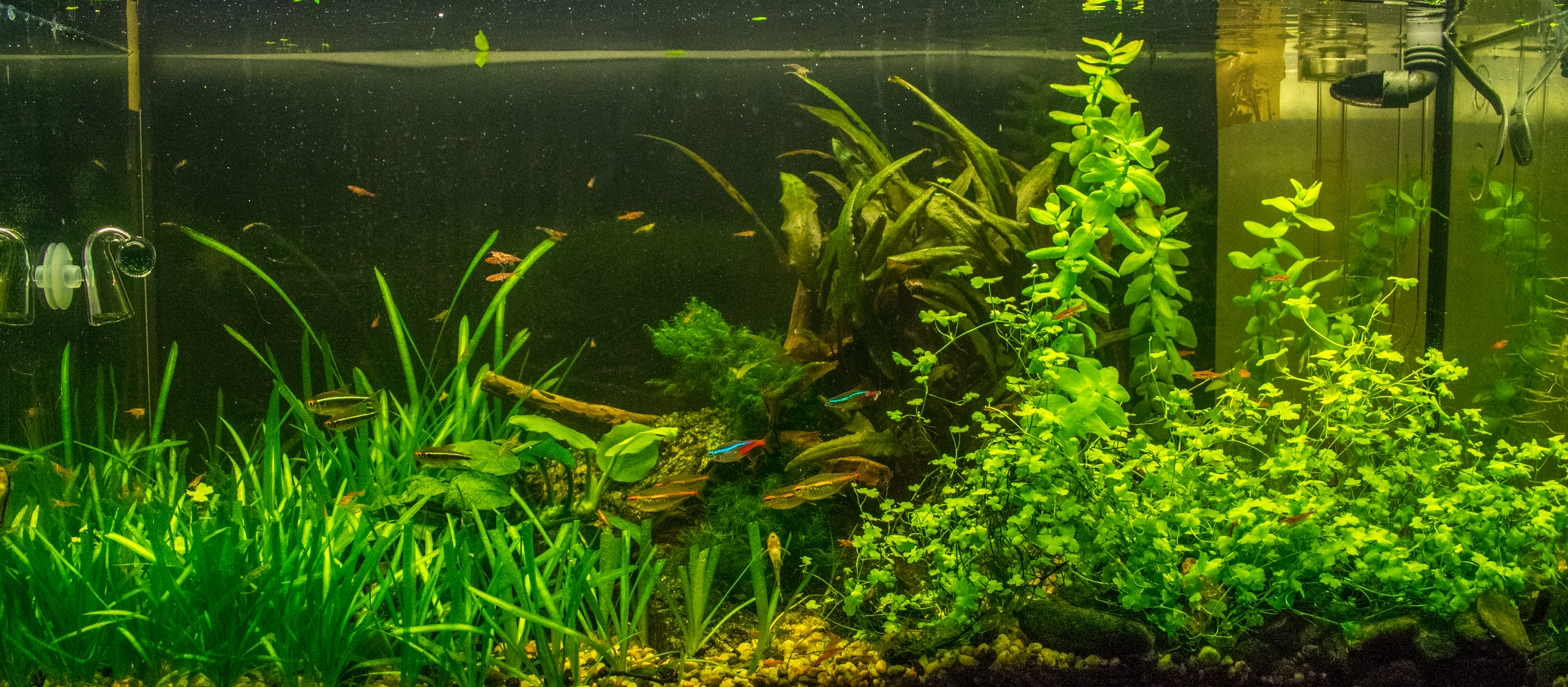 DSC_0157.jpg