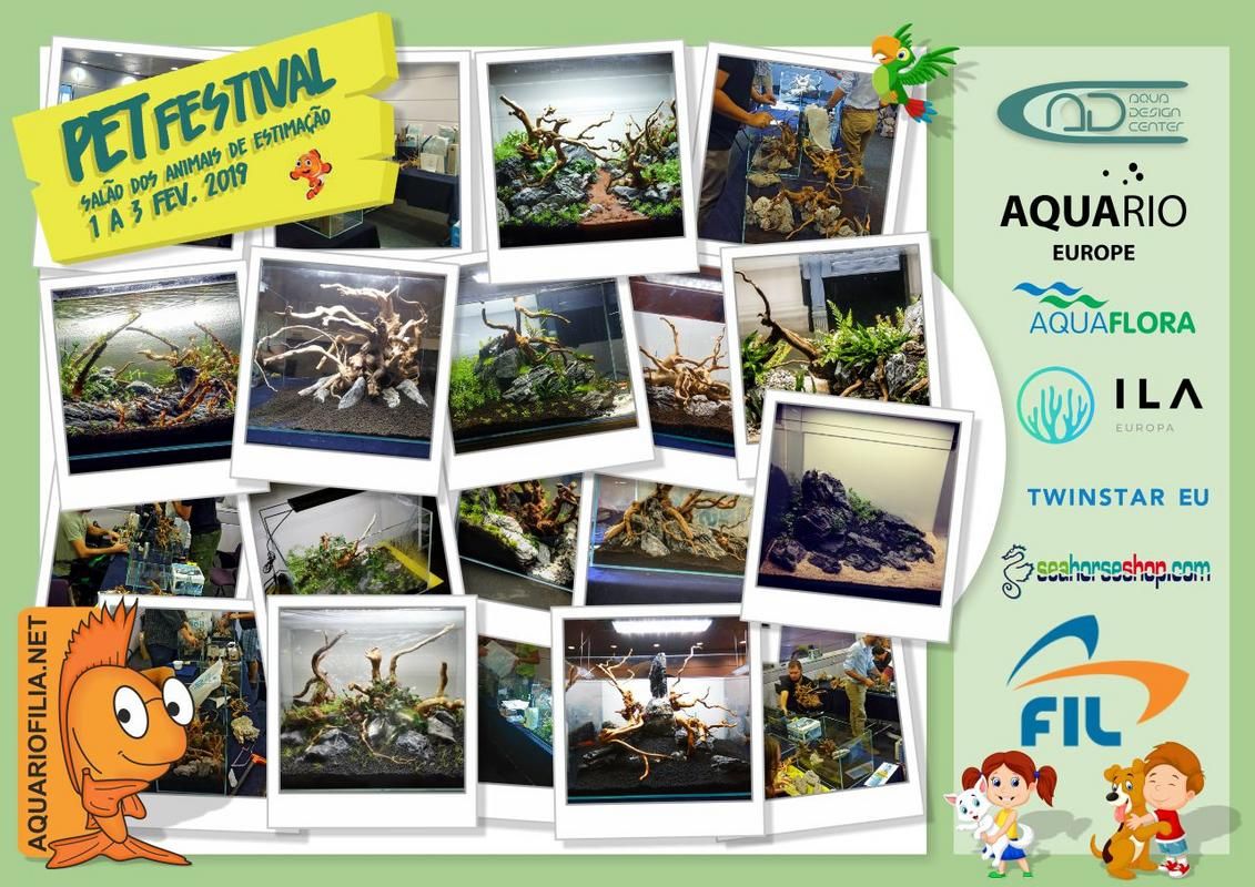 1° Desafio de Aquascaping