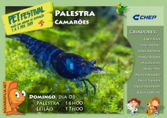 Cartaz-Camar-es-2.jpg