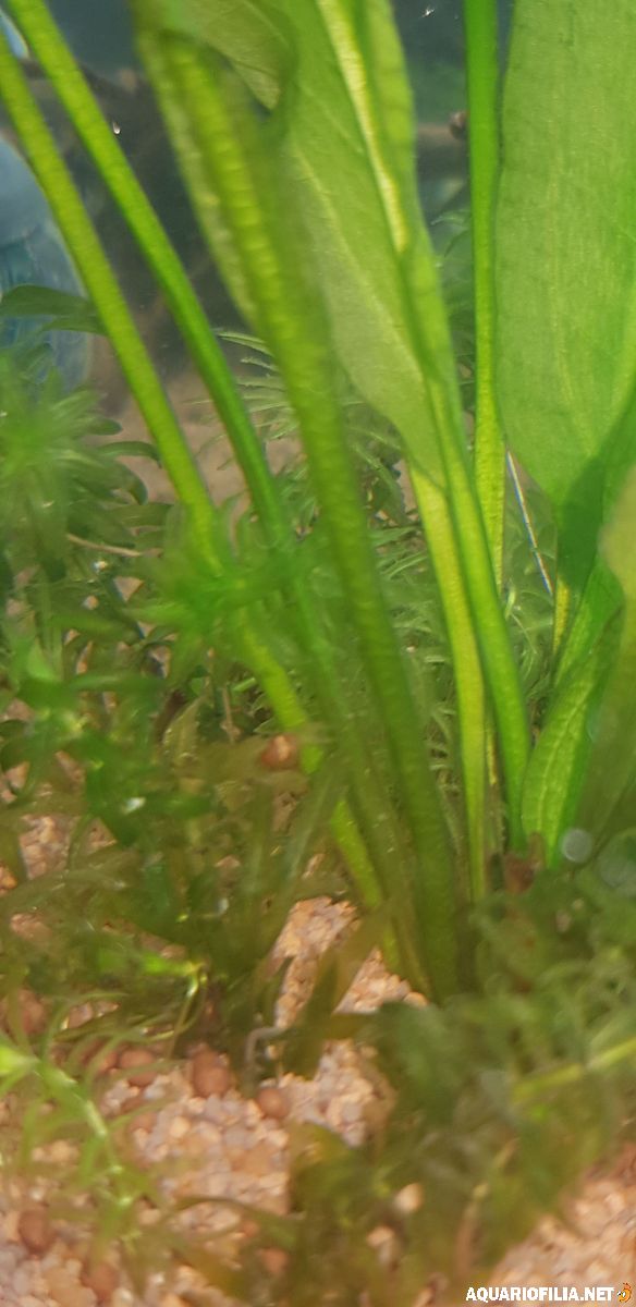 large.20190423_124024.jpg