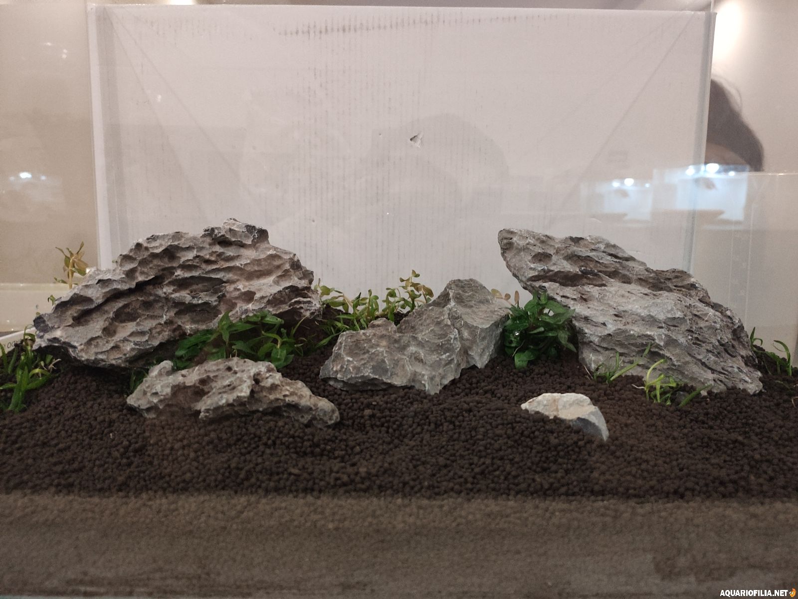 large.FSAP01_020.jpg