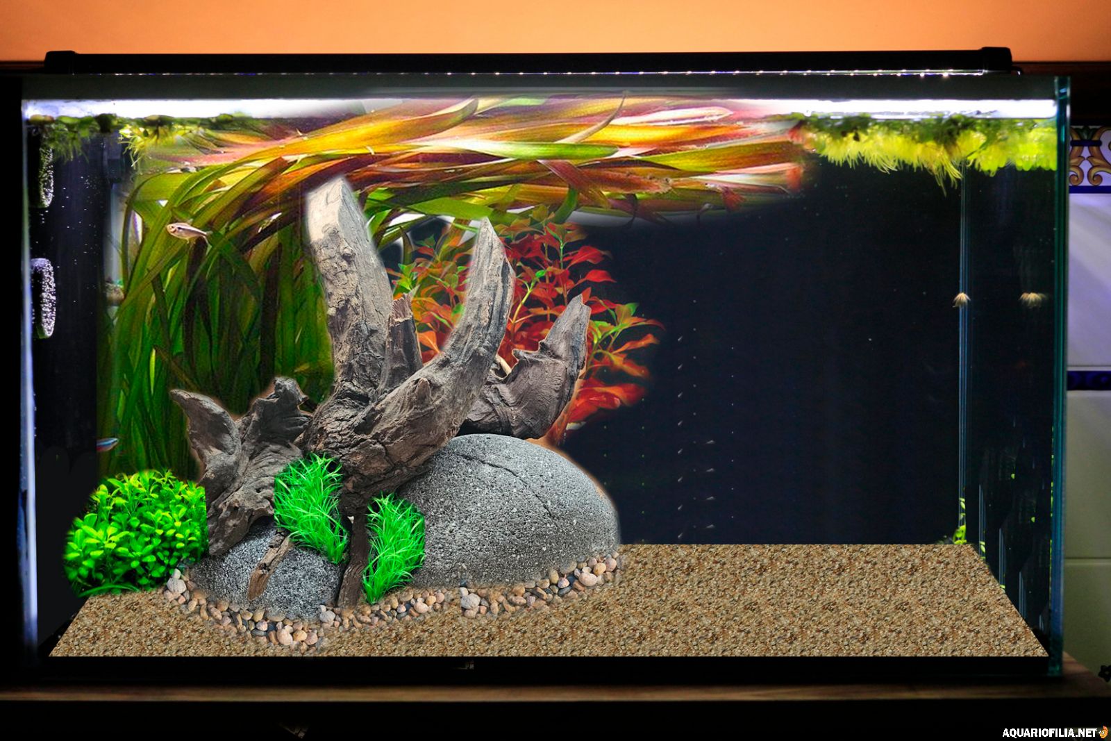 large.EXAMPLE-AQUARIUM.jpg