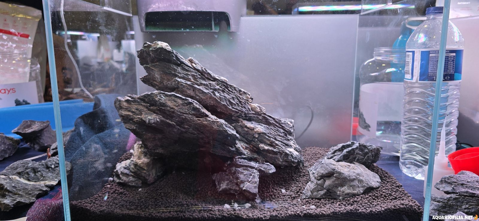 large.rock1.jpg