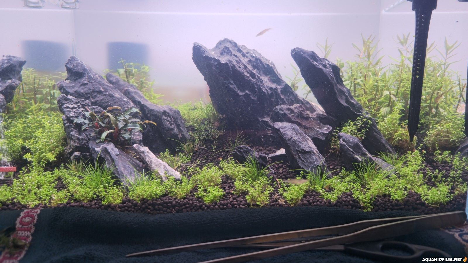 large.content(1).jpeg.663082bce7ce8f6ed9