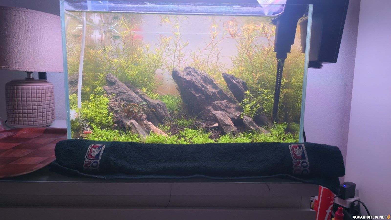 large.content(3).jpeg.839b95670c34bca366