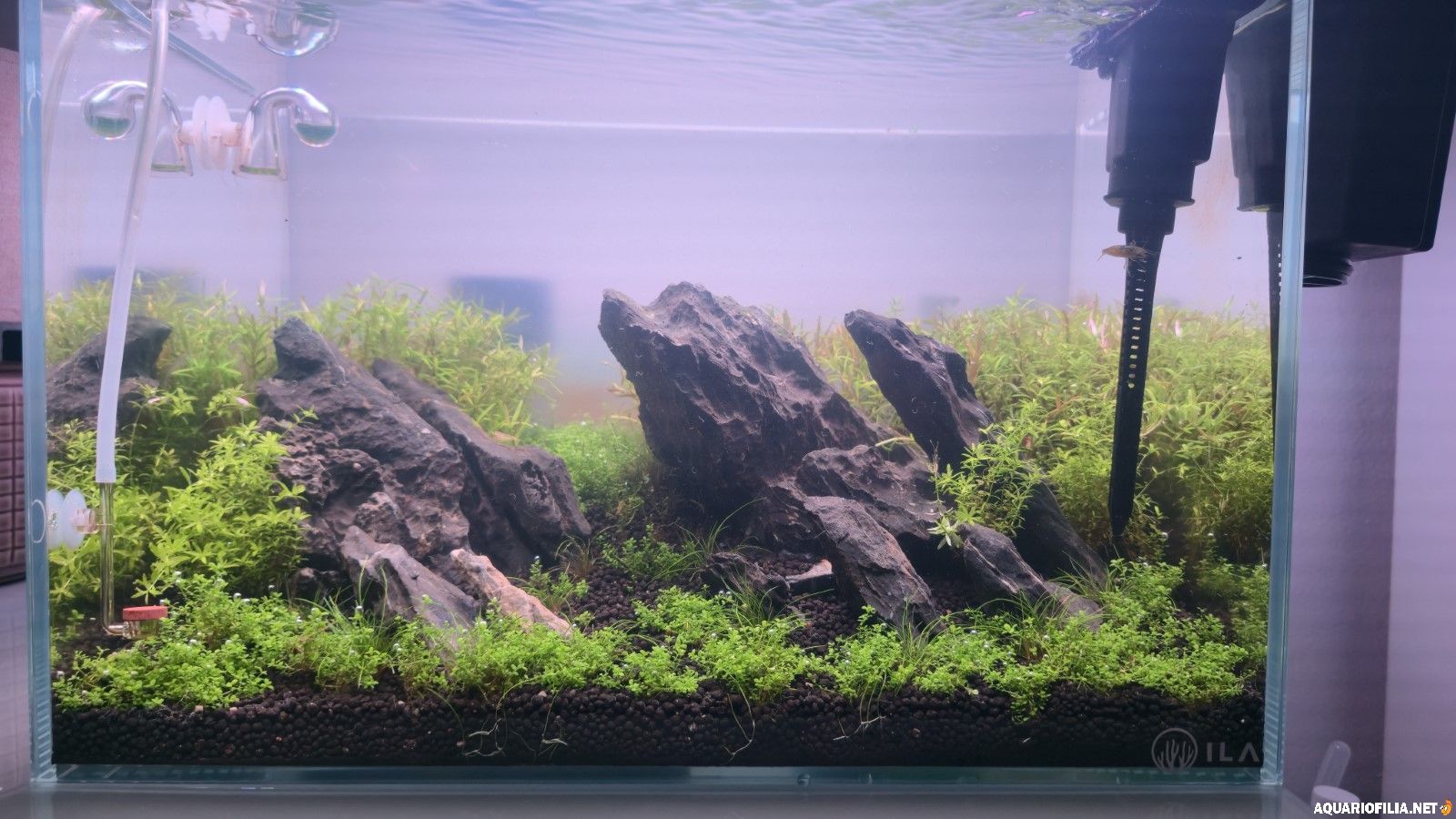 large.content(4).jpeg.bad299cabdb76f7fb8