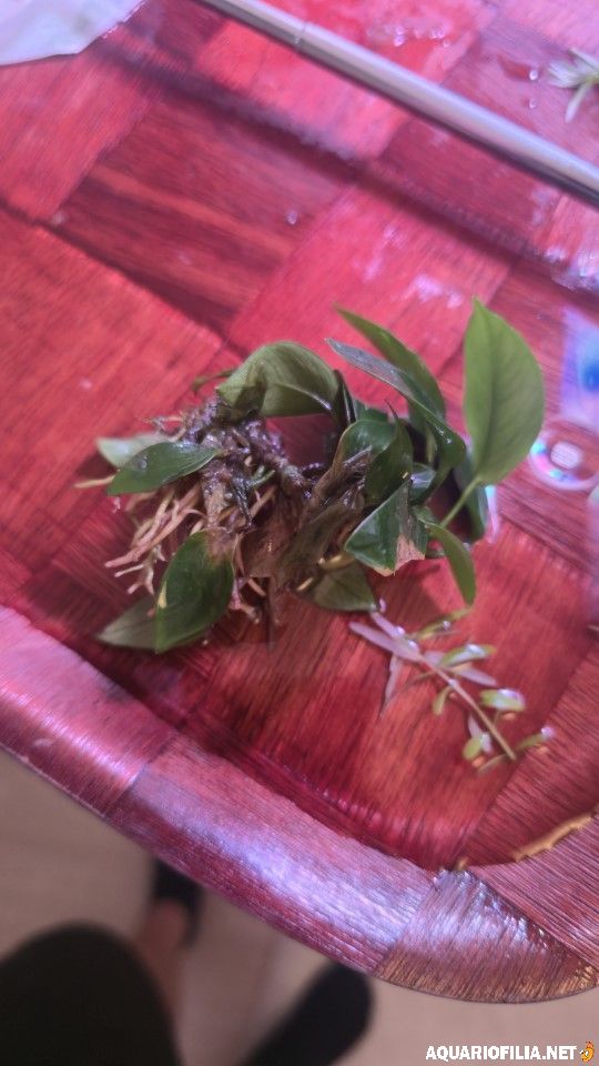 large.content.jpeg.887e5ad41fe2163ed9d5b