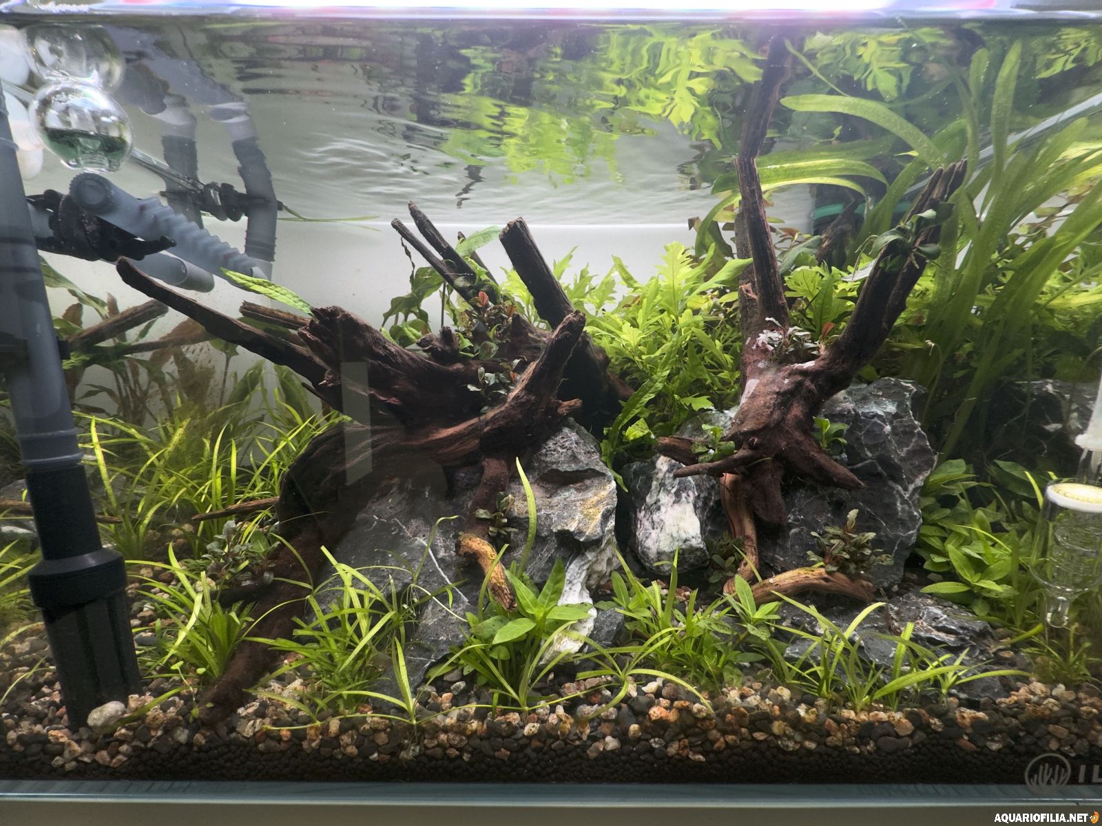 large.update2_03.jpeg