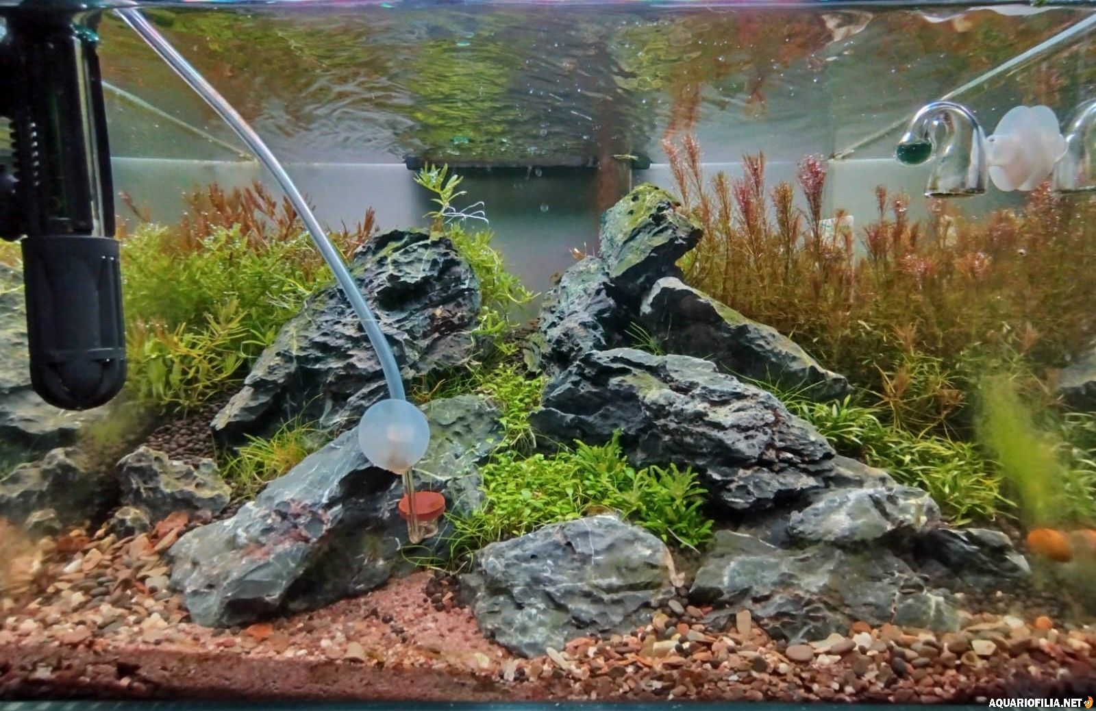 large.IMG-20251103.jpg.1e47fd42c253f4462