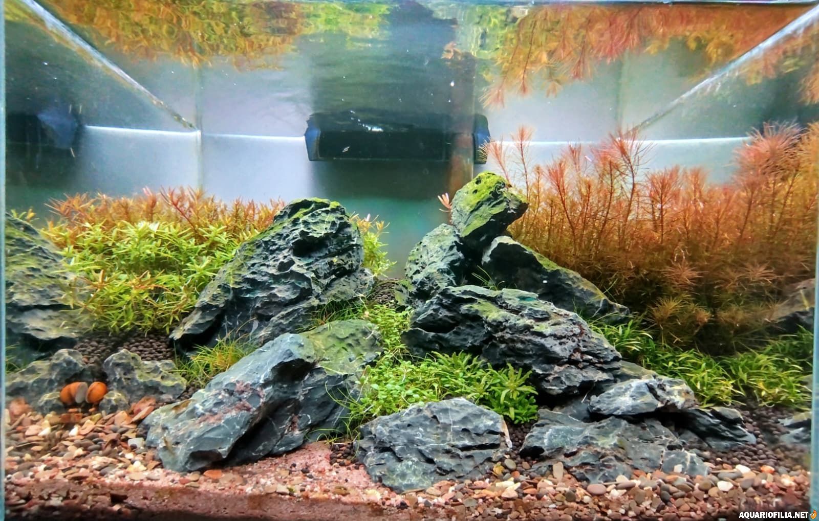 large.IMG-20251105.jpg.d966772bfe55f3cde