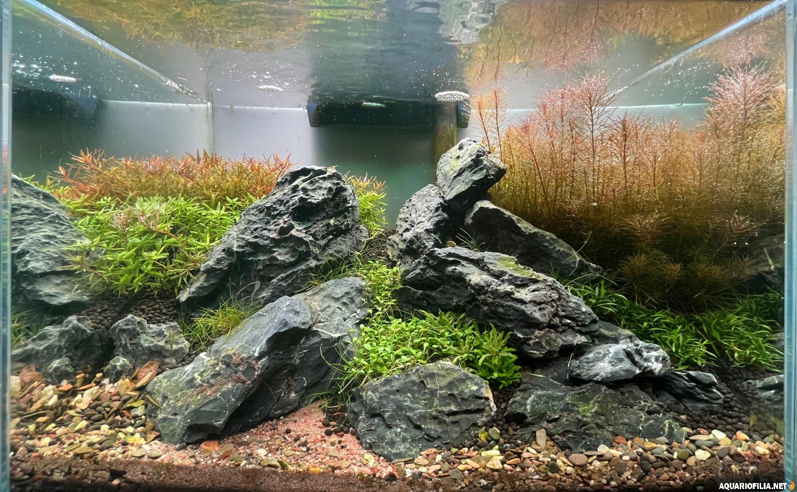 large.IMG-20251106.jpg.f125408e88a5048fb