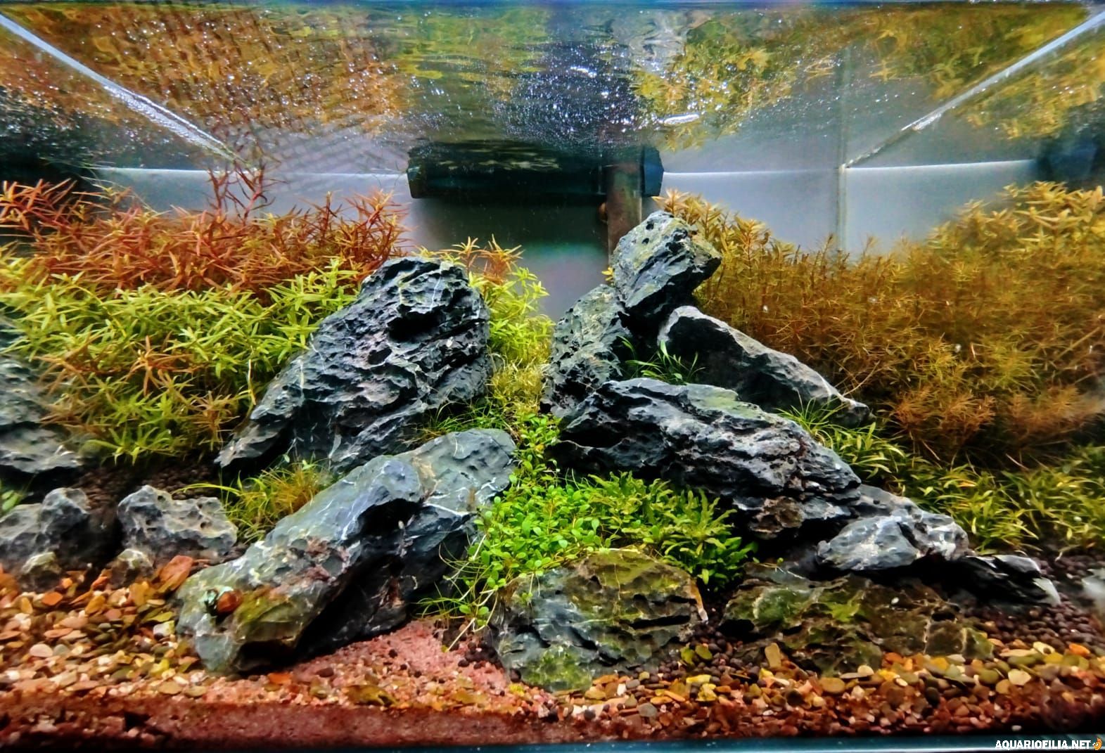 large.IMG-20251110.jpg.1538c07785a63b198