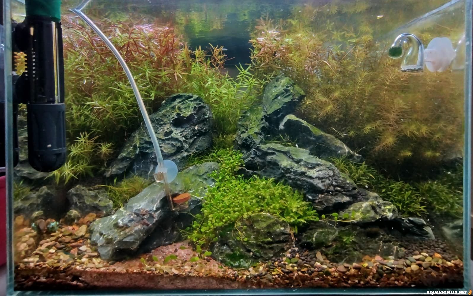 large.IMG-20251121.jpg.23f300f85433fe097